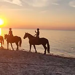 Domek letniskowy Sunny Baltic
