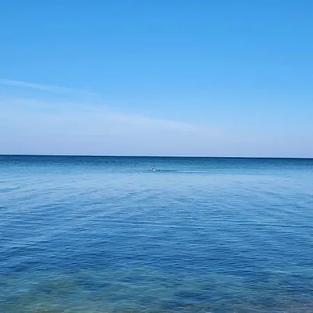 Sunny Baltic Деревянный коттедж Ярославец
