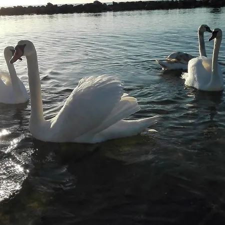 Lodge Sunny Baltic *