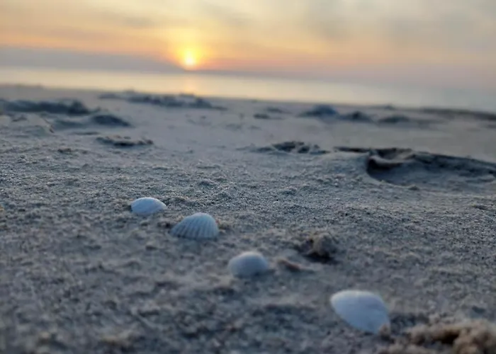 Hytte Sunny Baltic Jarosławiec